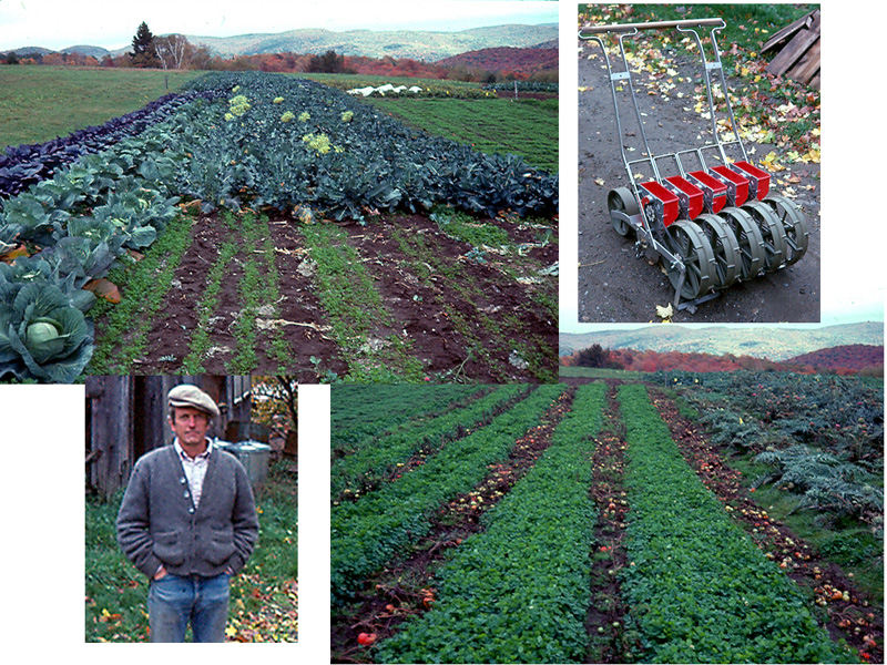 Elliott Coleman's cover cropping system