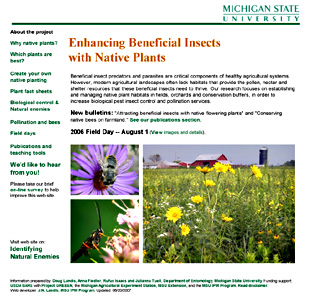 Native plants for insects homepage thumbnail