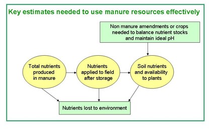 Nutrient flow from manure resources to storage facilities and then to field. Nutrients can be lost from all locations but only those arriving on the field have the chance to feed plants.