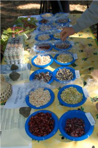 Organic bean seed tasting from variety trials conducted by Carol Miles, WSU. Photo credit: Micaela Colley, Organic Seed Alliance