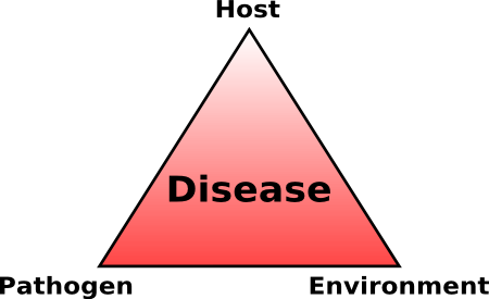 illustration of the disease triangle