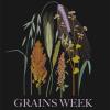 Grains week logo