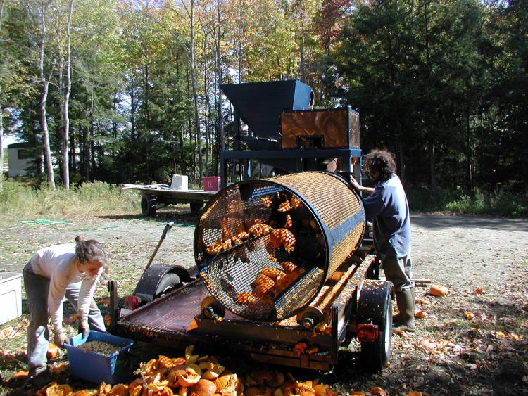 Mechanical wet-seed processor