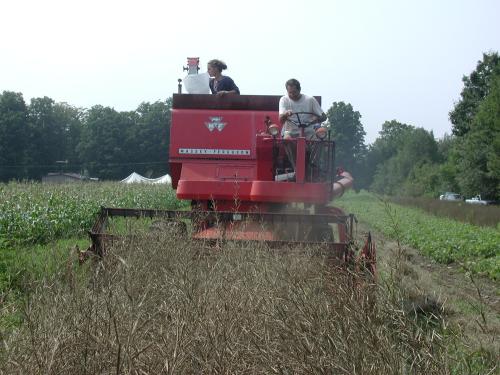 Field combine