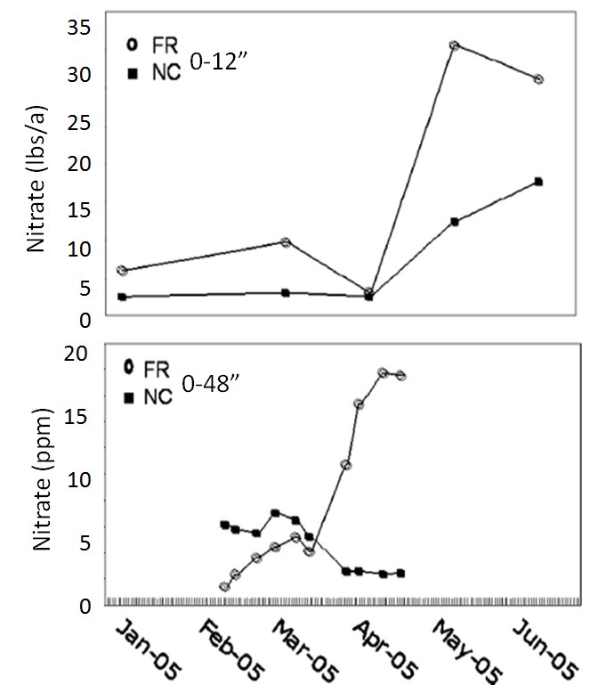 Figure 6 spring soil nitrate with and without radish cover crops