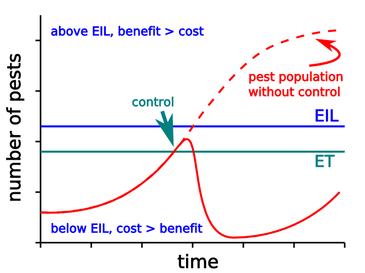 Insect Pest Management Differences Between Conventional And Organic Farming Systems Eorganic