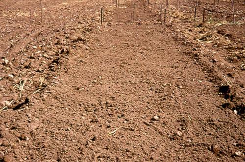 newly tilled field