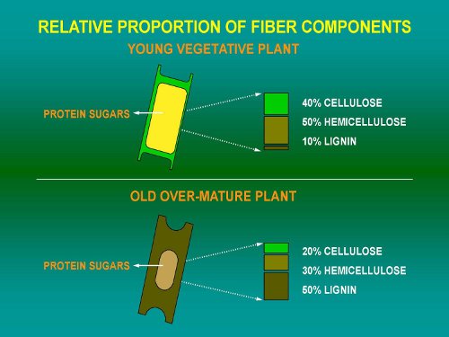 Figure 1. Relative fiber components of young and old plants.