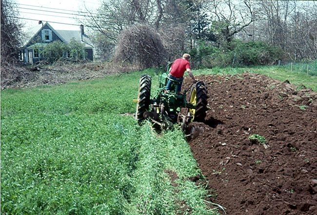 Plowing under a hairy vetch cover crop