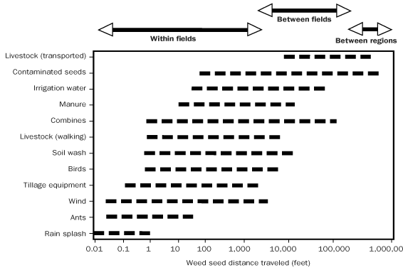 Mechanisms and distance of weed seed movement