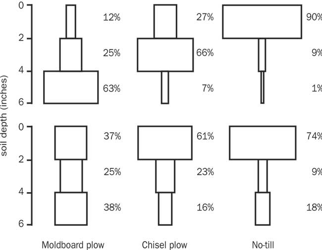 Vertical distribution of weed seeds