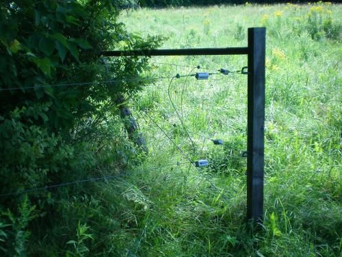 Corner post of perimeter fence (photo by Debra Heleba)