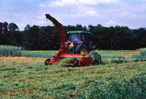 flail chop vetch and rye