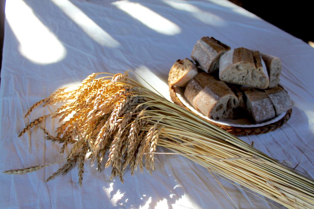 Bickford stalks and bread