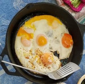 Eggs with orange yolks