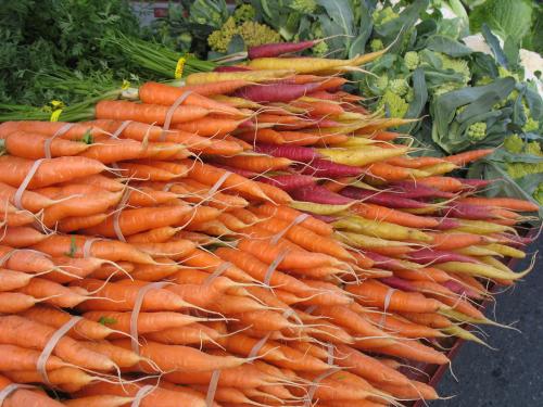 bunched carrots